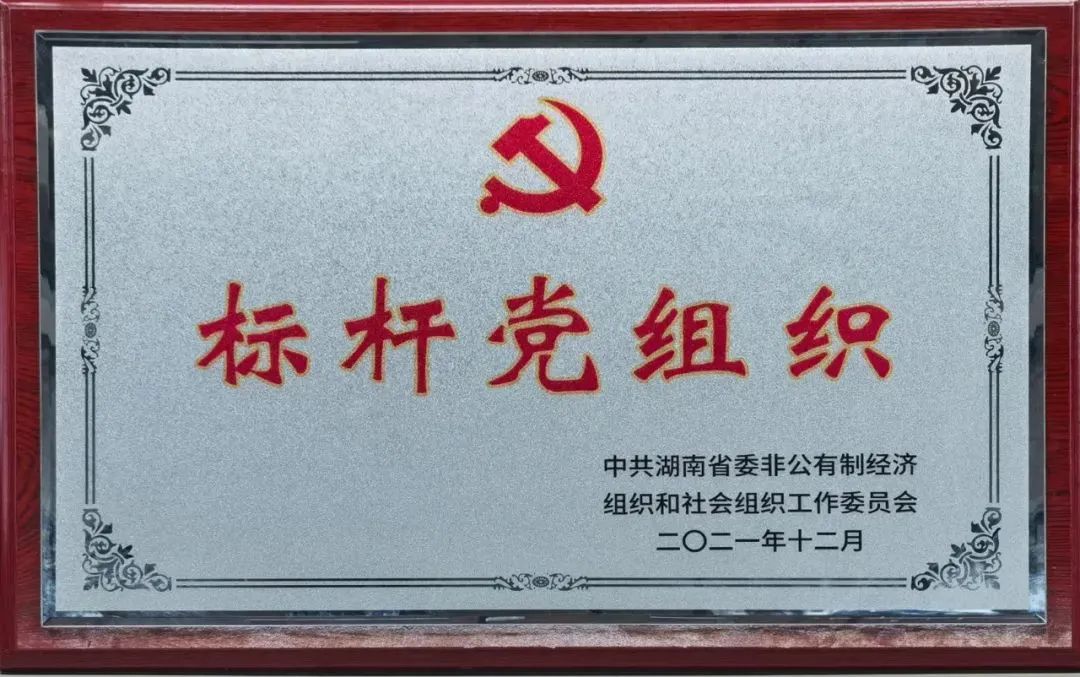 党建品牌亮起来！！122cc太阳成智能党委获评“标杆党组织”