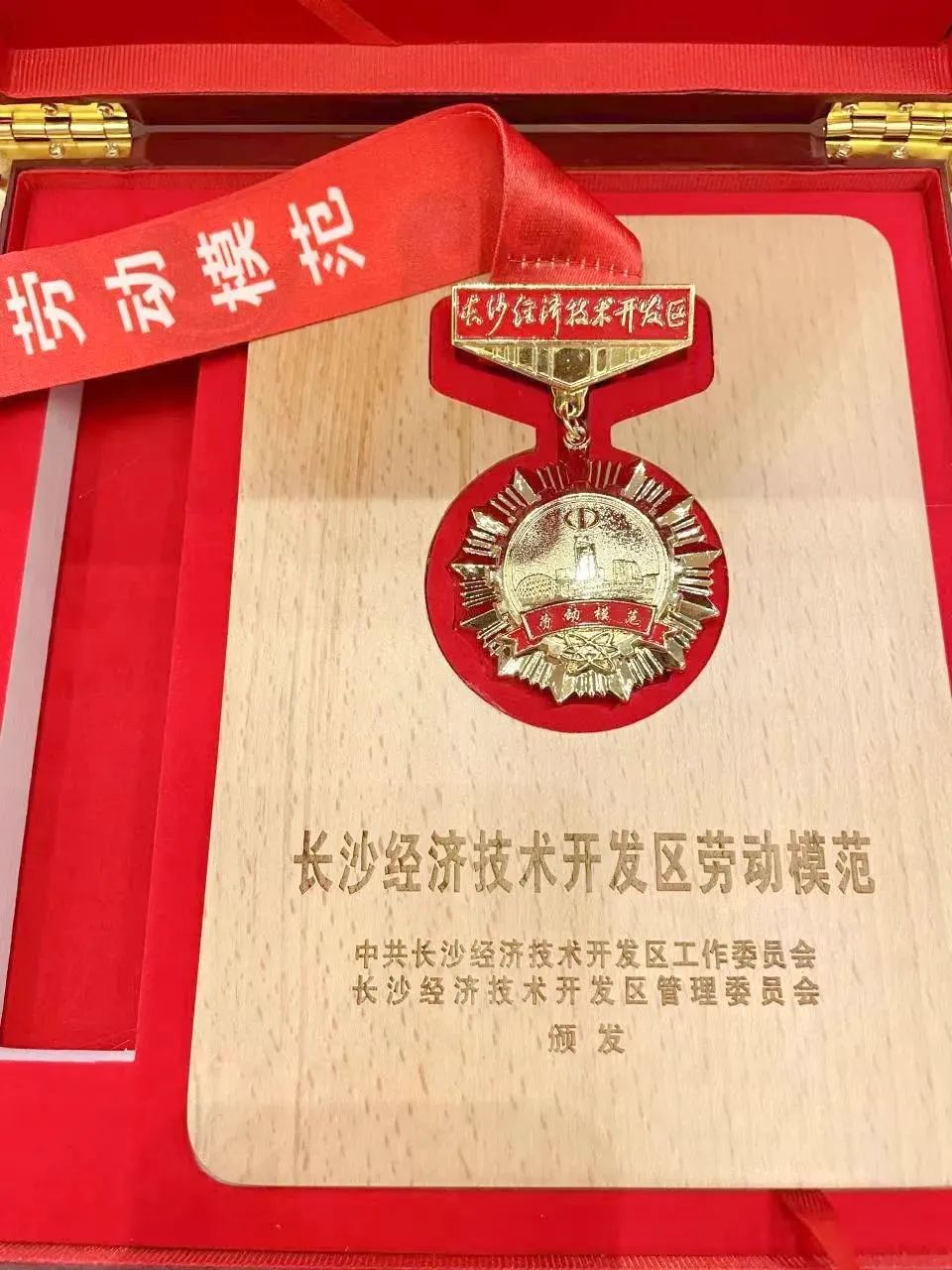 长沙经开区劳模林宏武：：扎根工程机械40载 永葆实干立异小儿心